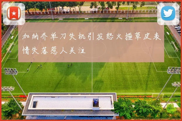 加纳乔单刀失机引发怒火捶草皮表情失落惹人关注