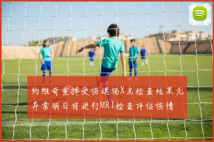 约维奇重摔受伤退场X光检查结果无异常明日将进行MRI检查评估伤情